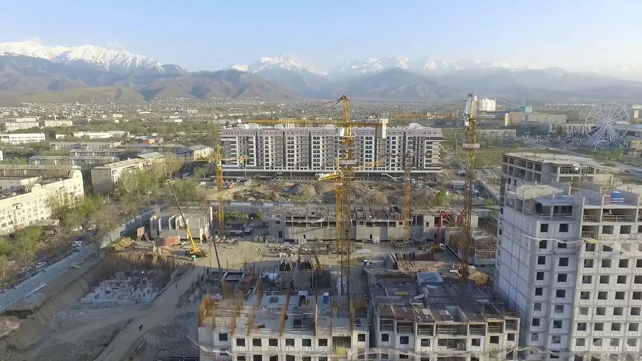 Алматы 24. Алматы 24. Дворец студентов в алмате. Палац студентов харьков. Иммунологическая лаборатория лаборатория.