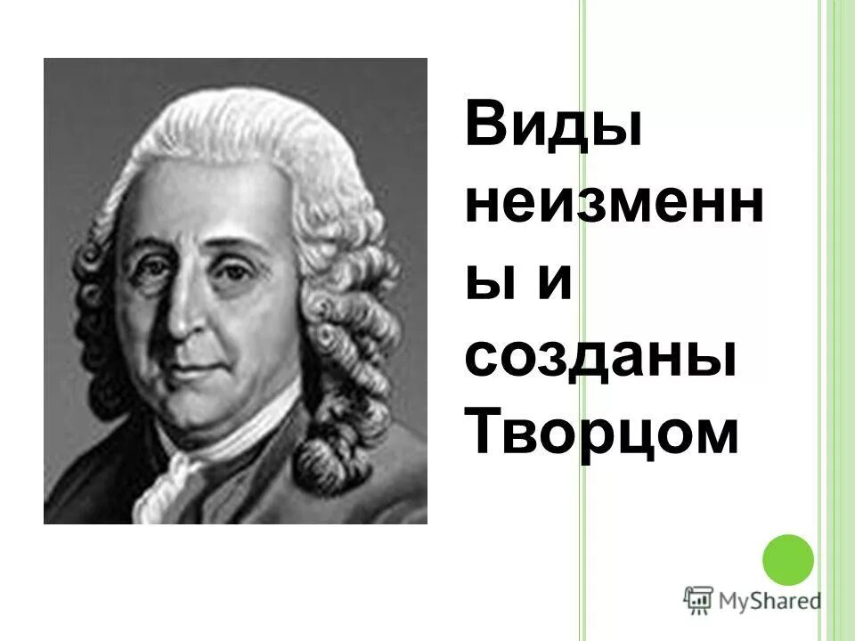 карля линейл представления. карл линней вид. заблуждения карла линнея в биологии. биологический вид по линнею. считал что виды созданы творцом.