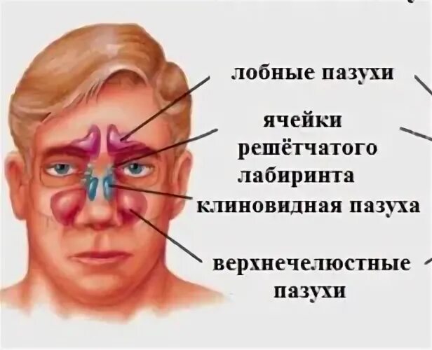 Пазуха пример