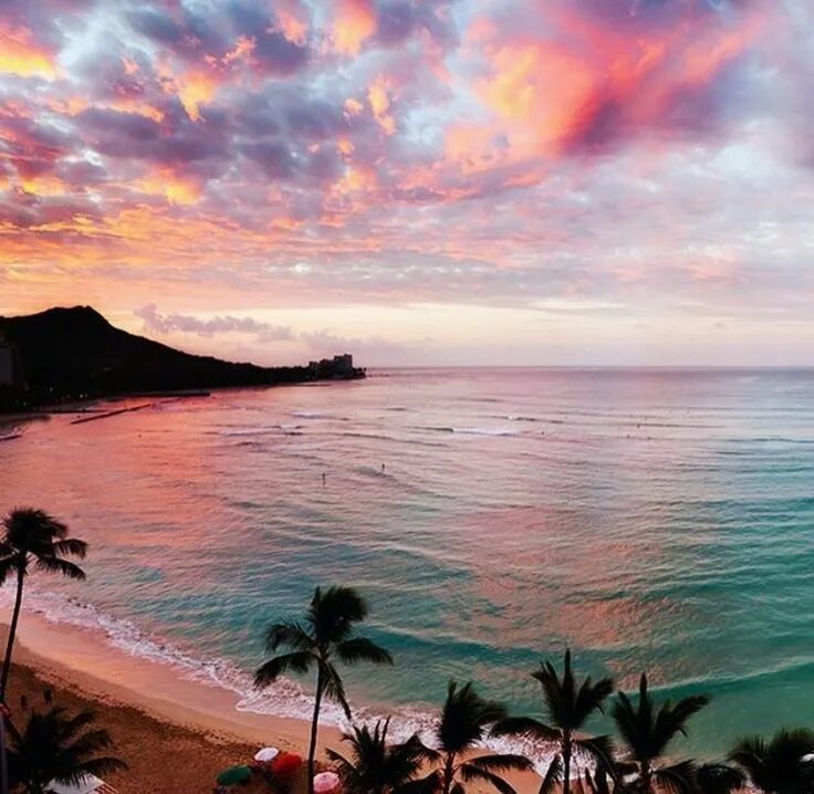 Zene the zilla. Hawaii caesar dreams resort aqua. Гонолулу гавайи. Hawaii песни. Картина ahava.