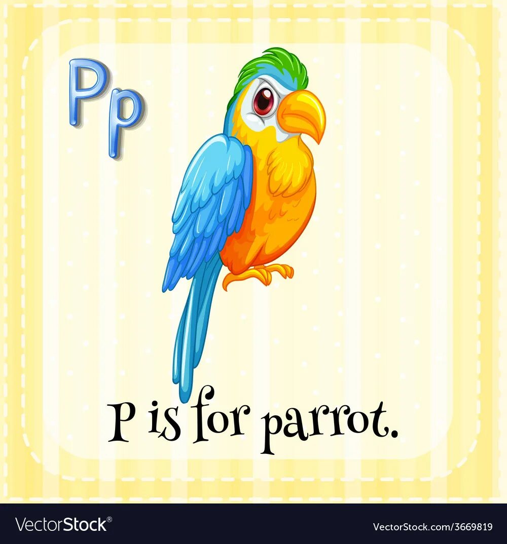 Буква п попугай. Попугай с английской азбукой. Попугай карточка на английском. Попугай на букву п для детей.