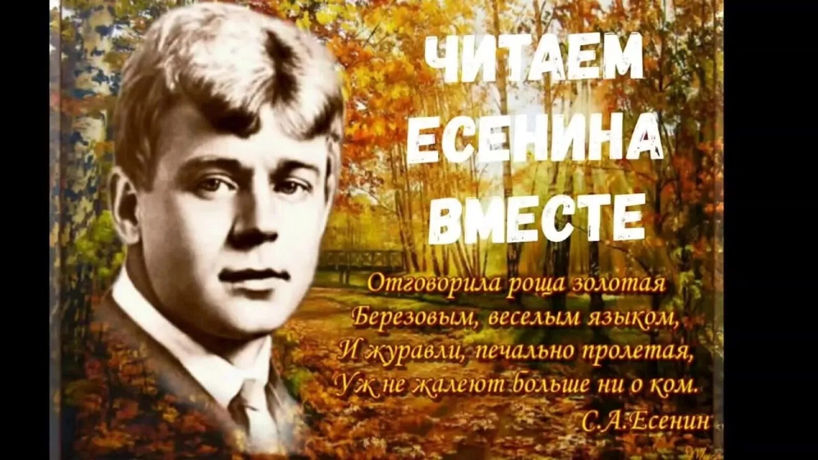 Роща Золотая Есенин. Отговорила роща Золотая Есенин. Есенинская поэзия