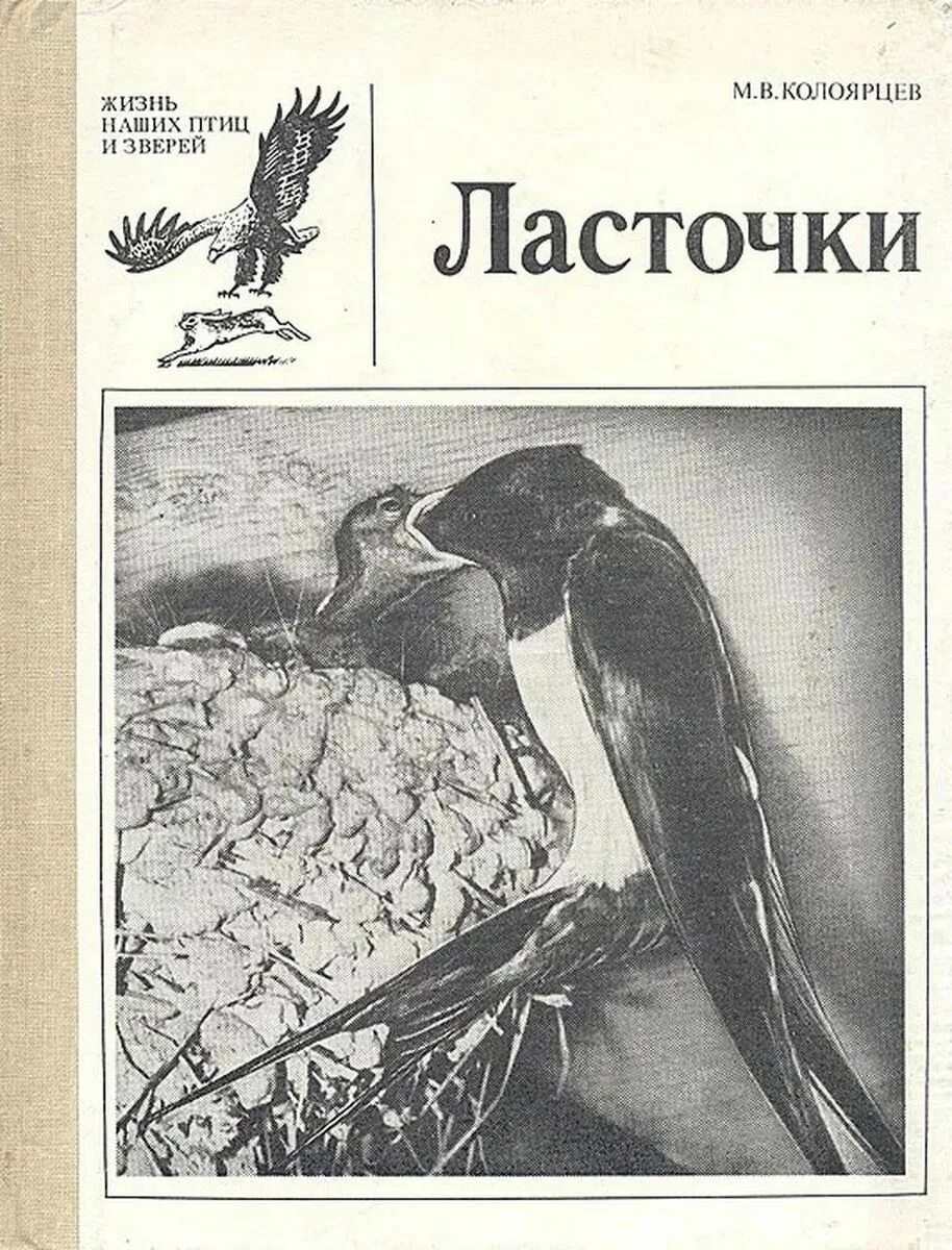 Богомолов рассказ ласточка. Колоярцев м.в ласточки. Произведение Ласточка. Ласточка книга. Ушинский Ласточка.