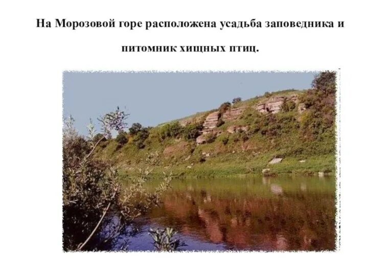 Заповедники липецкого края. Заповедники липецкого края. Заповедники липецкого края. Заповедники липецкой област. Воргольские скалы липецкая область.