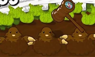 Игры hamster combat