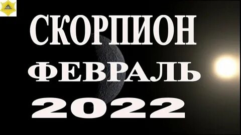 Гороскоп на февраль скорпион женщина самый точный