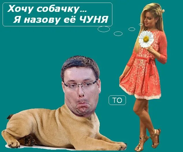 Песня хочу собачку