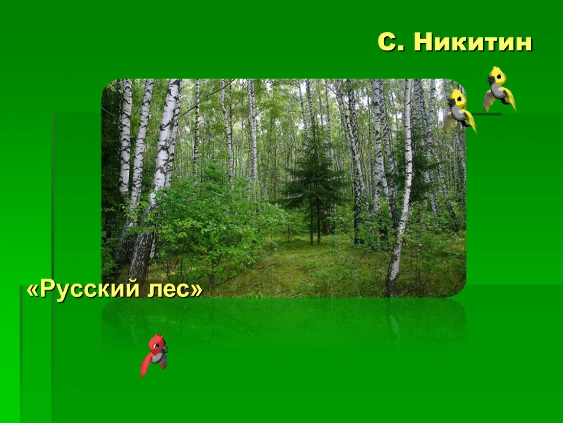 Музыкальное произведение лесной. Стихотворение Никитина лес. Лес Никитин стих.