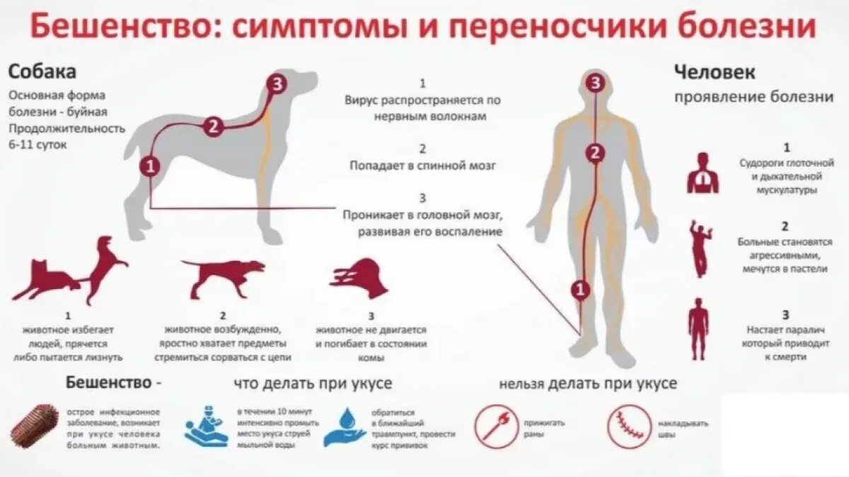 Умрут в течении 2 лет
