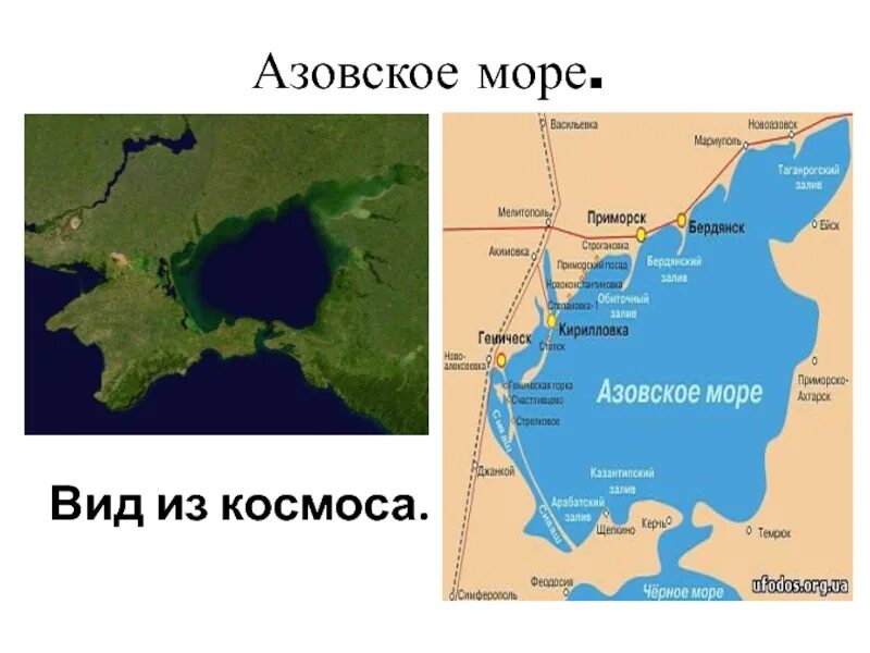 Азовское море на карте. Реки впадающие в Азовское море на карте. Азовское море наткарте. Заливы Азовского моря. Города расположенные на азовском море