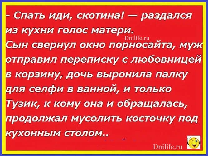 Муж скотина. Иди спать скотина анекдот. Анекдот про Тузика. Анекдот про Тузика и перспективу. Послышался голос мамы