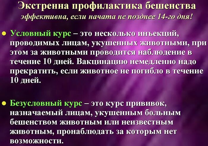 Вакцина антирабическая применение. Схема введения антирабической вакцины. Антирабическая прививка инструкция. Антирабическая профилактика схема. Антирабическая вакцина инструкция.