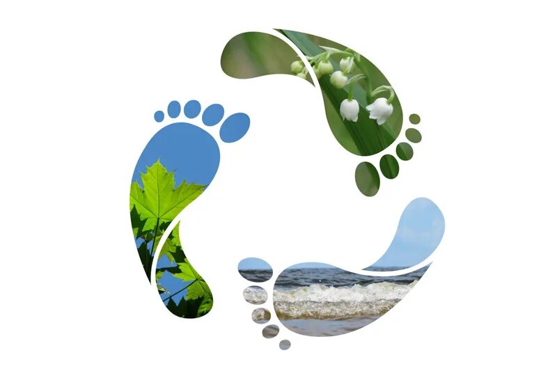 Your carbon footprint