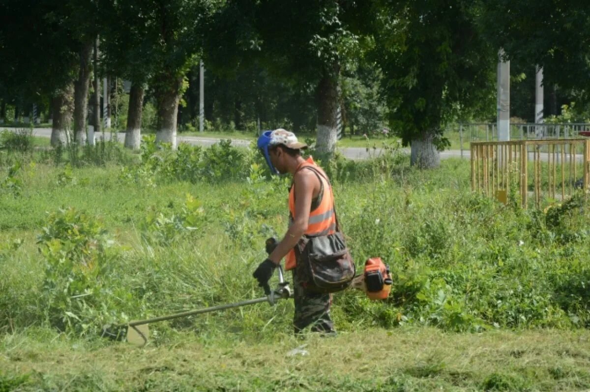 Скашивание травы вдоль трасс. Косят траву в городе. Трава вдоль дороги. Покос обочин дорог. Кошение травы.