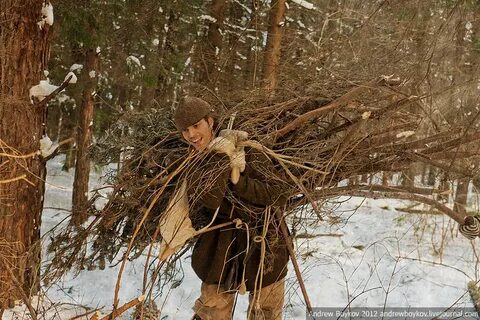 Сквозь лесной валежник