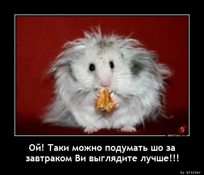 Люблю длинную дорогу. Прежде чем сказать подумай цитаты. Придумать цитату. Можно подумать можно подумать фраза. Дорога домой высказывания.