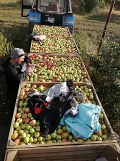 Собираю бригаду