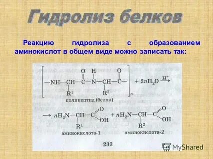 Тесты белки химия