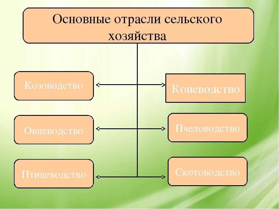 Отрасли сельского хозяйства. Основные отрасли сельского хозяйства. Структура сельского хозяйства. Отрасли сельского хозяйства схема. Назовите ведущую отрасль