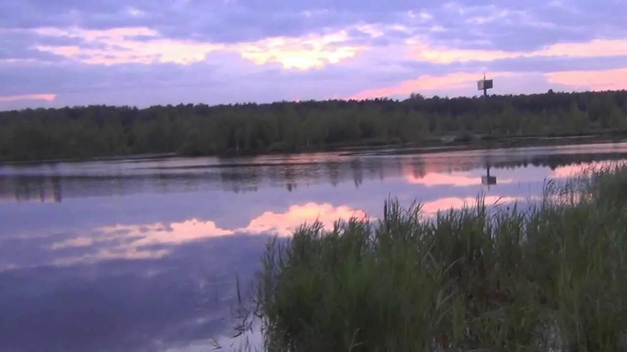 Малое озеро Медвежьи озера. Медвежьи озёра Московская область рыбалка. Медвежьи озёра (деревня). Большое Медвежье озеро Рязанская область. Медвежьи озера рыбалка