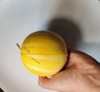 Дыня медовый спас
