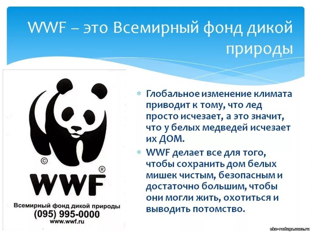 Wwf на русском. фонд дикой природы wwf. The world wide fund for nature wwf. интересные слоганы защита вымирающих животных. эмбела всемирный фонд дикой природы.