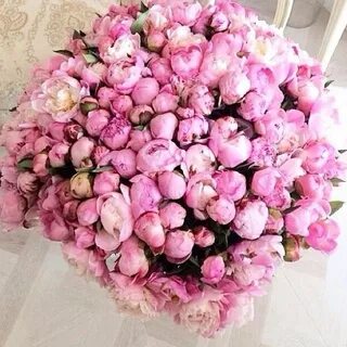 Огромный букет пионов