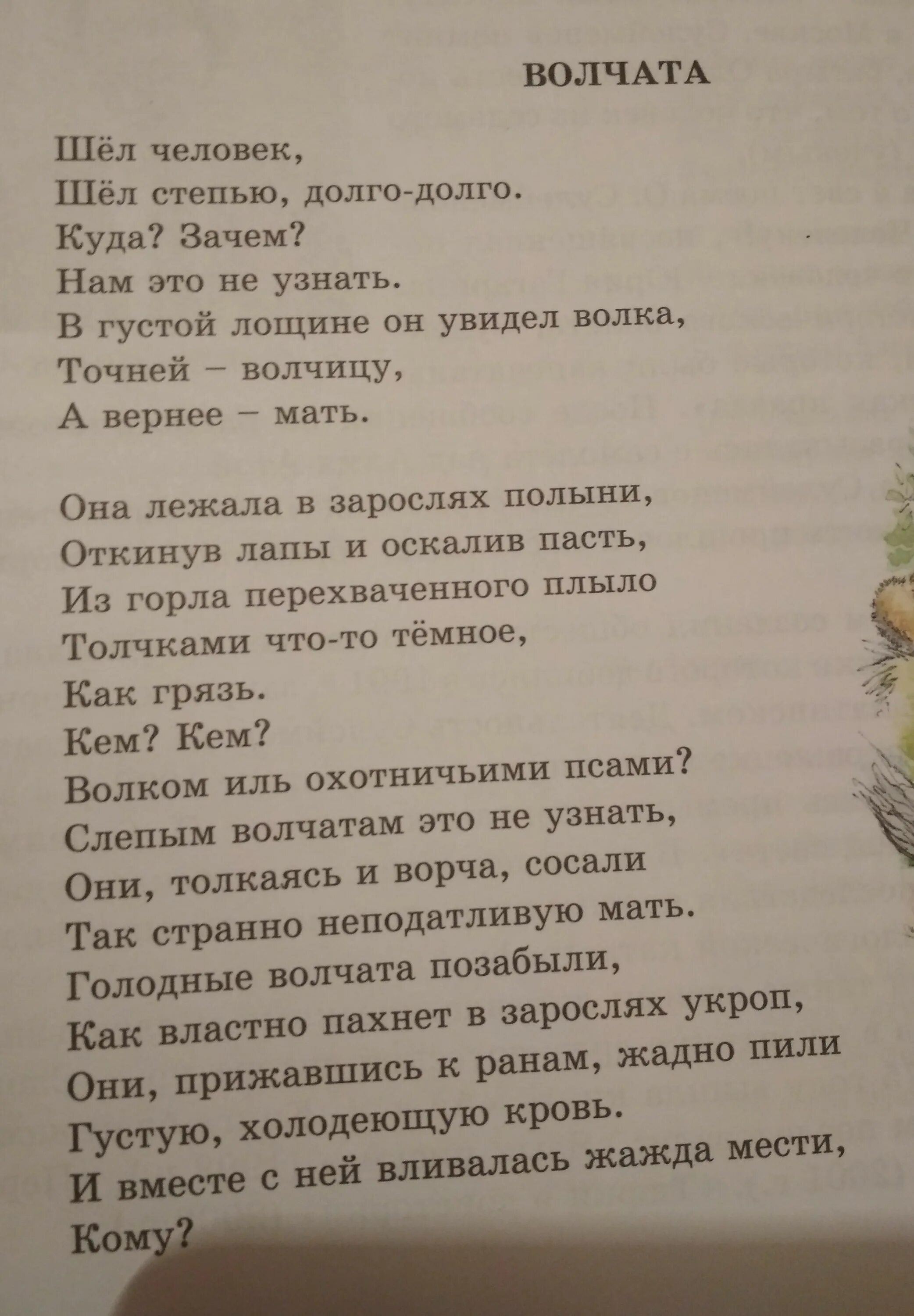 Каков идейный смысл стихотворения волчата. Стих про волчонка. стихотворение волчата о.сулейменов. стихотворение волчата анализ. стих волчата олжаса сулейменова.