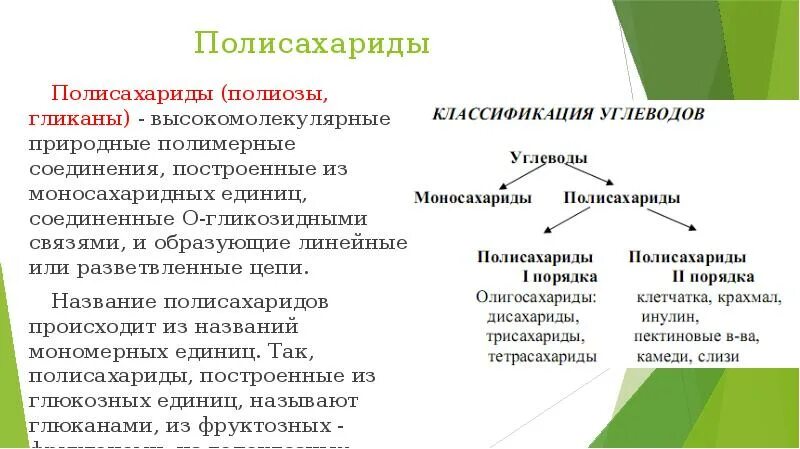 Полисахариды хорошо растворимы в воде. Полисахариды хорошо растворимы в воде