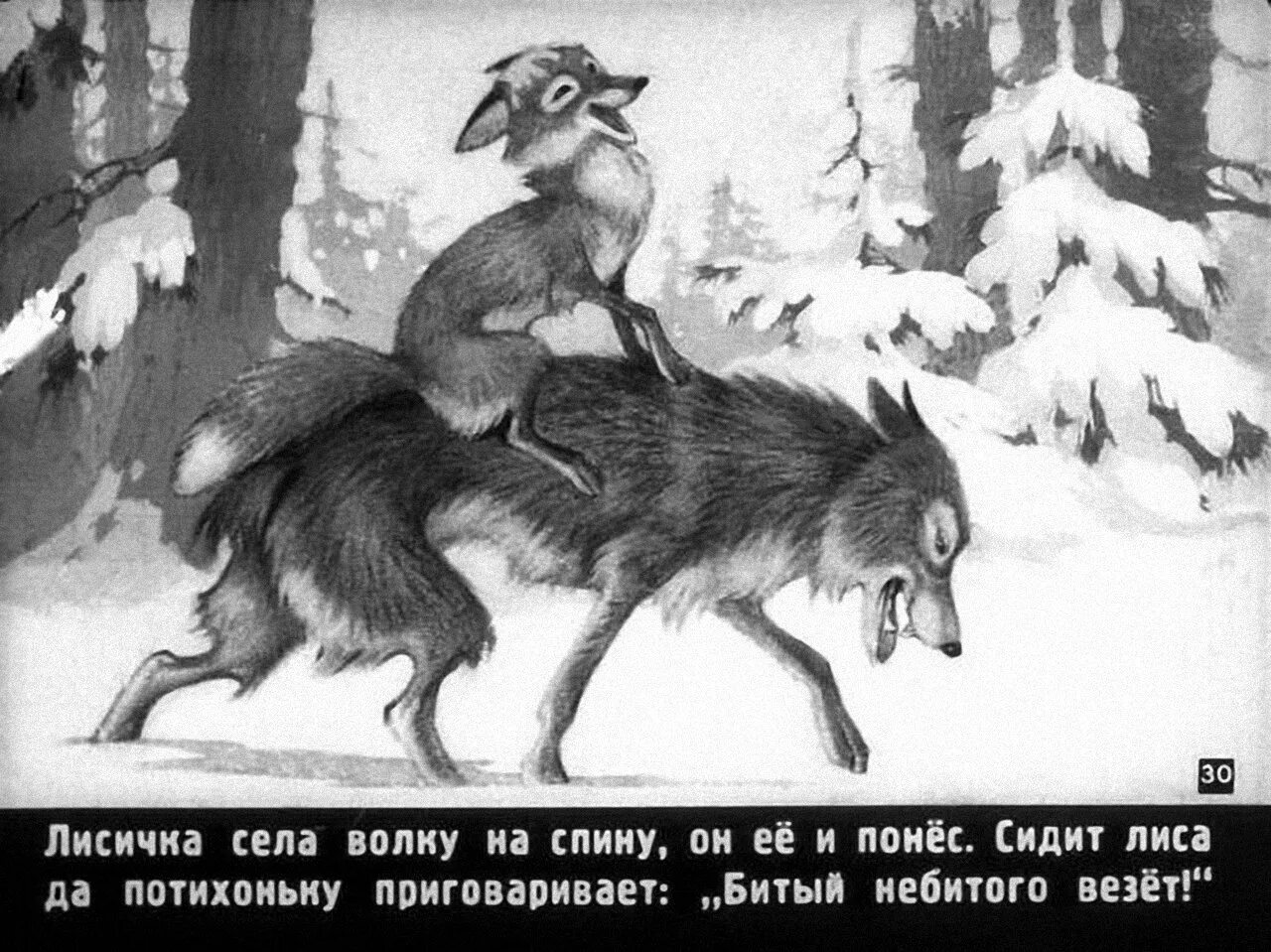 Фраза битый не битого. Волк и лиса битый небитого везет. Лиса и волк Ушинский. Битый не битого везет. Волк и лиса.
