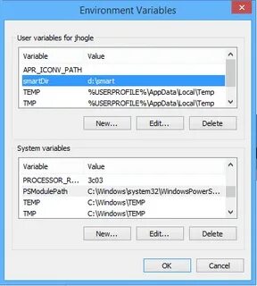 Process environment variables