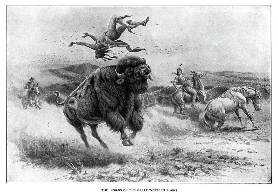 Охотничий 6 букв сканворд. Индейцы Северной Америки охота на бизонов. Охота индейцев на бизонов. Коренные американцы охота на бизона. Индейцы охотятся на бизонов.