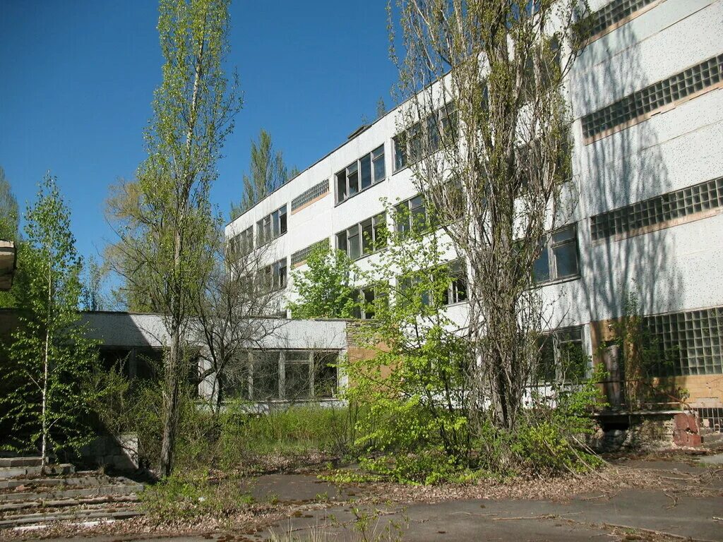 8 училище. , д. профессиональное училище 8 купчино. политехнический техникума великие луки. медицинское училище 8 москва.