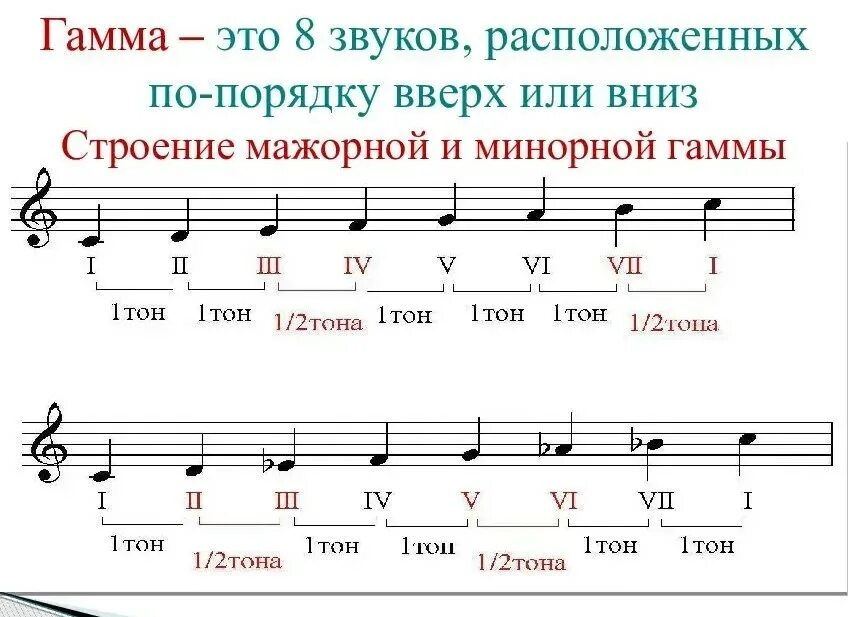 Чем отличается тон от звука. Строение мажорной и минорной гаммы. Гамма Ре минор 2 октавы.