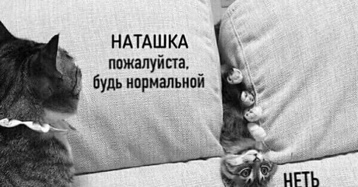 Пожалуйста будь нормальной. Пожалуйста будь нормальной нет. Ты можешь быть нормальной. Пожалуйста будь нормальной котики.