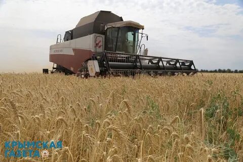 Уборка урожая в сентябре