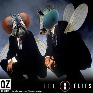 X flies