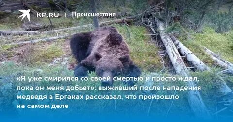 Медведь напал во сне мужчине
