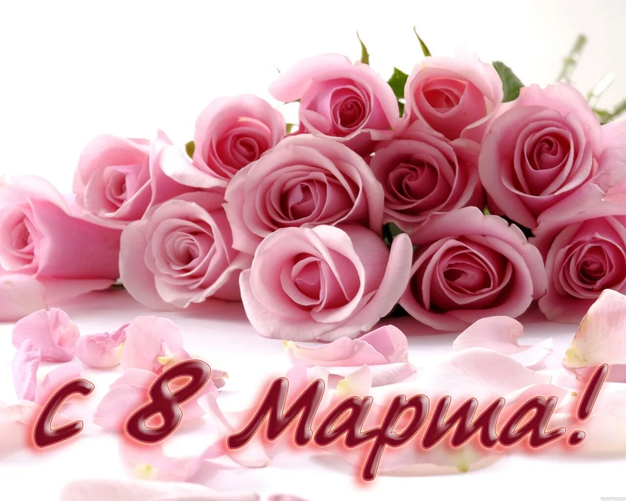 отправить 8 мартом женщин. с праздником девчонки. отправить 8 мартом женщин. с днем рождения открытки с цветами.
