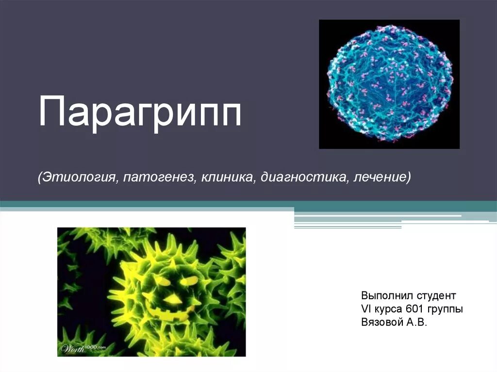 Парагрипп 4 типа. Типы возбудителей парагриппа (1-4). вирус парагриппа патогенез. парагрипп этиология. парагрипп презентация.