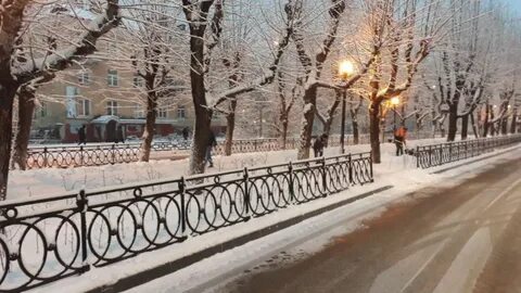Цветы закамск