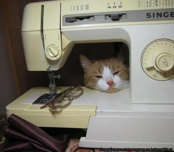 Крутить швейную машинку. Кот и швейная машинка. Коты и Швейные машинки. Швейная машинка прикол. Смешные шутки про швей.