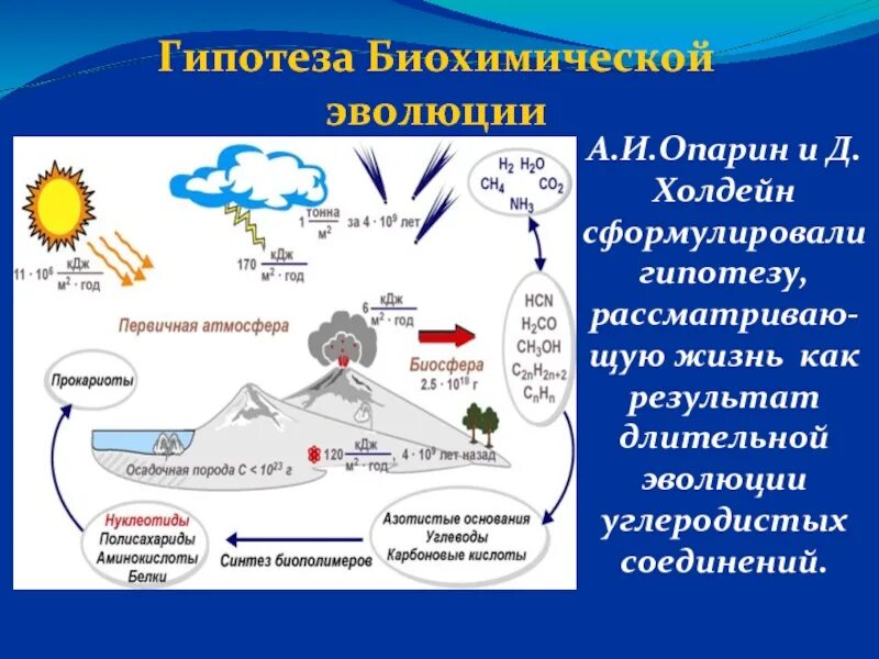 Гипотеза происхождения опарина. Теория Опарина Холдейна опыт. Теория биохимической эволюции Опарина-Холдейна. 4 Гипотезы Опарин Холдейн. Холдейн гипотеза биохимической эволюции.