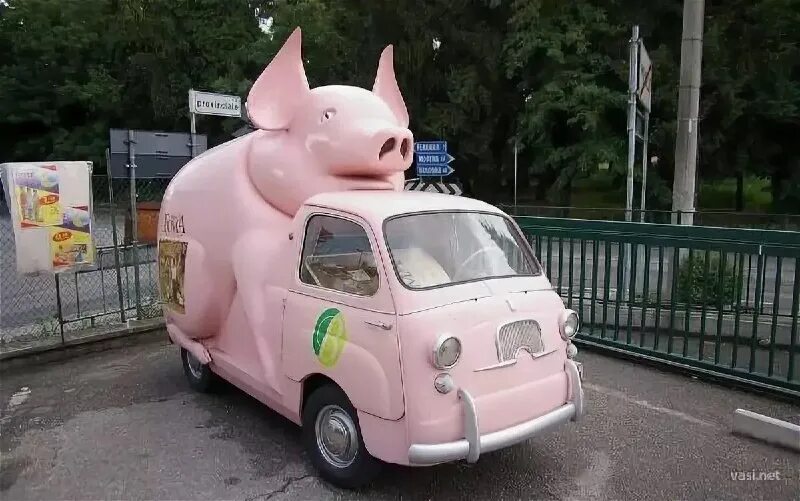 авто свинья. свинка в машине. машина в виде животного. хрюшка машина. смешные машины.