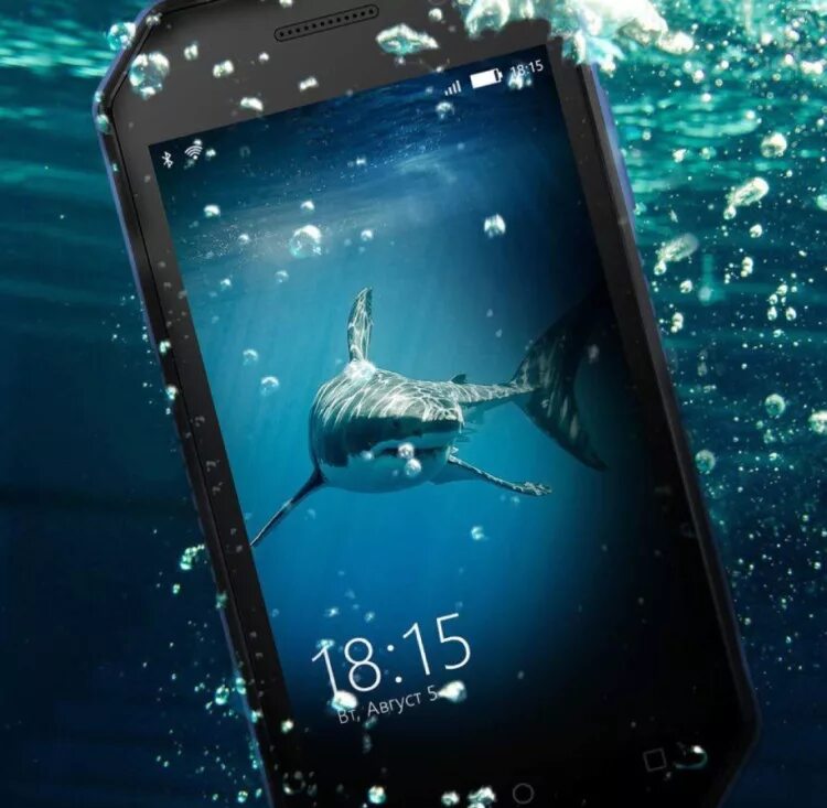 Bq shark. Bq shark mini характеристики. 2010 год смартфон быль. в чем разница между bq shark и bq shark ru.