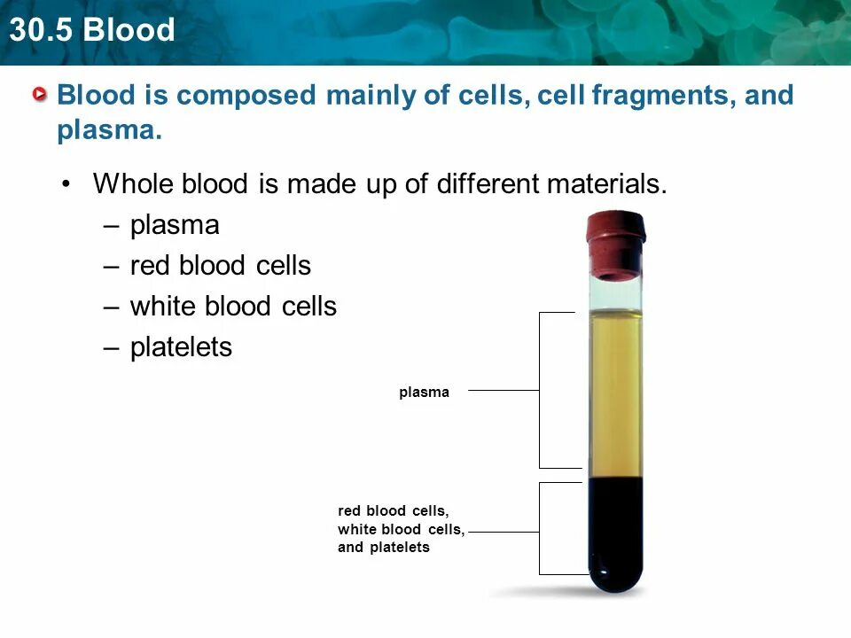 Blood components. Blood is composed of....... Composition of Blood components of Blood. Blood Composition and function.