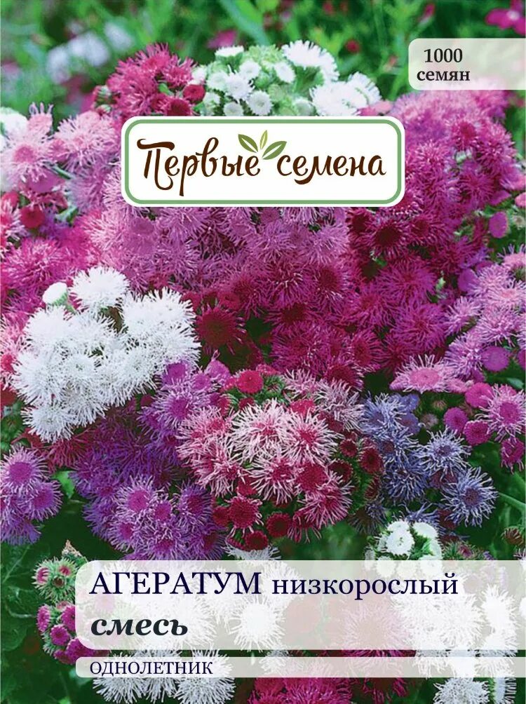 Агератум семена купить. Цветок агератум семена. Цветы агератум смесь. Агератум однолетник. Агератум мексиканский смесь.