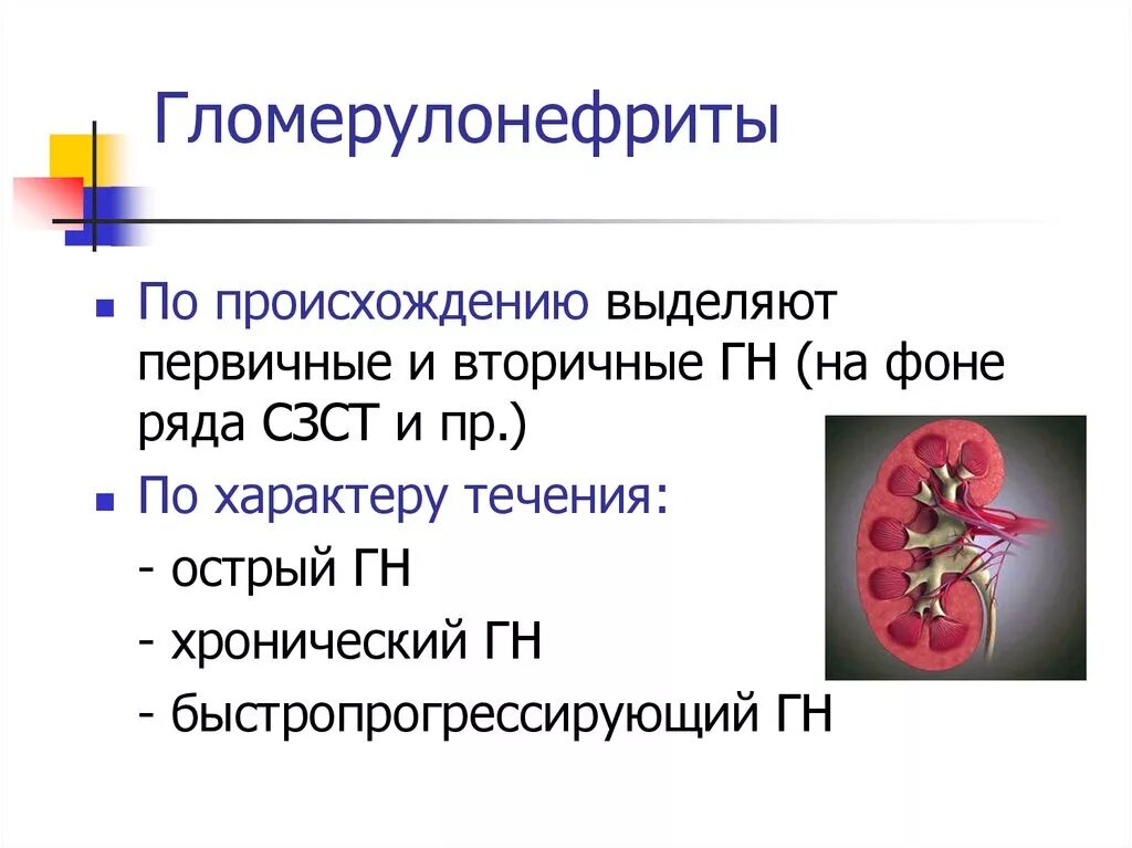 Почка при хроническом гломерулонефрите