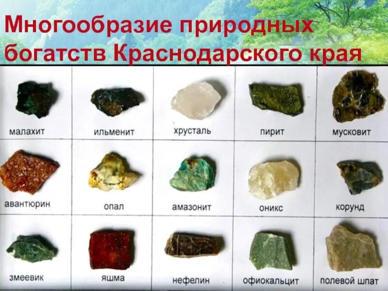 Какие виды ресурсов краснодарского края вы знаете. Какие виды ресурсов краснодарского края вы знаете