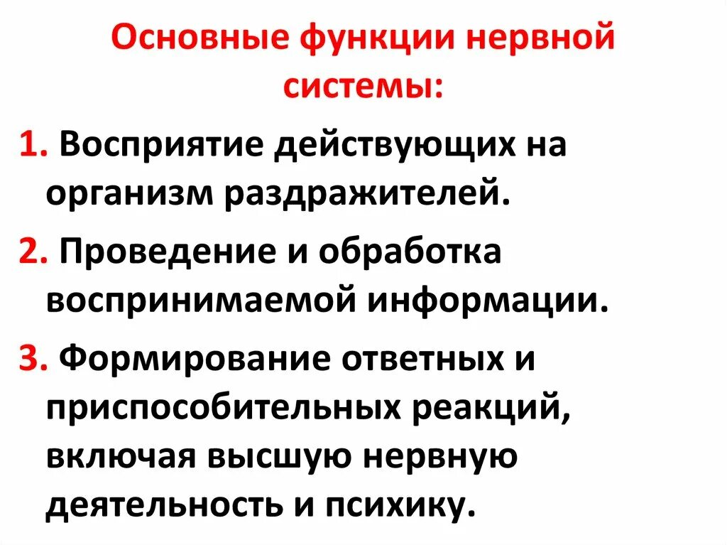 1.Перечислите функции нервной системы.. Нервная система выполняет функции. Основные функции нервной системы человека кратко. Функции нервной системы животных кратко.